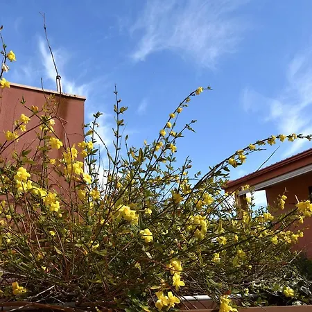 Residenza Le Due Palme 维拉西米乌斯